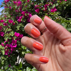 2023 Summer Polish Set