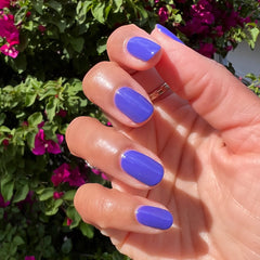 2023 Summer Polish Set