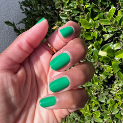 2023 Summer Polish Set