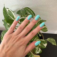 All Manis on Deck | Medium | Oval - Tab Press-On