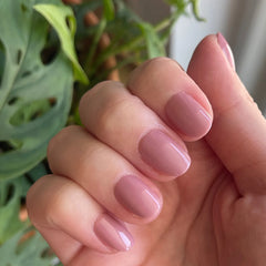 World Lit - Press-On | Extra Short | Round