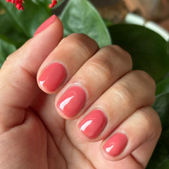 Boysenberry Glass - Gel