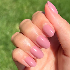 World Lit - Press-On | Extra Short | Round