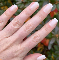 Classic French - Press-On | Medium | Squoval