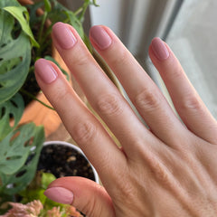 World Lit - Press-On | Extra Short | Round