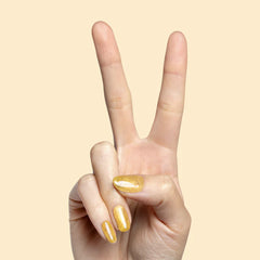 Magnetic Gel Polish Set