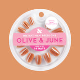 Glazed Pumpkin - Press-On | Short | Squoval