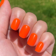 Summer Neons Set