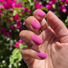 2023 Summer Polish Set