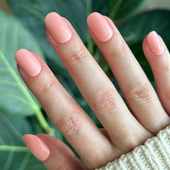 Carnation | Short | Round - Tab Press-On