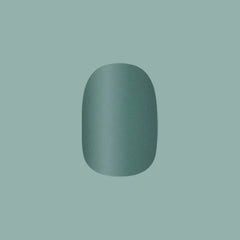 Still Life of Flowers - Tab Press-On | Extra Short | Round