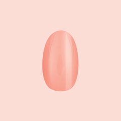 Creamsicle | Medium | Oval - Tab Press-On